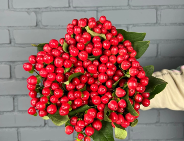 На складе новое поступление! Срезанные цветы